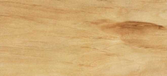 Гелиос фанера: основные отличия и выбор модели