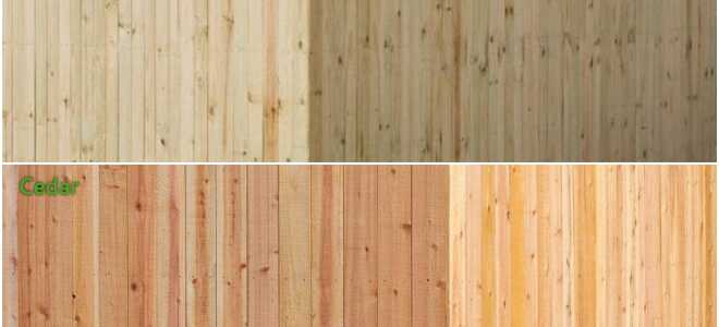 Какой мебельный щит лучше, из сосны или кедра?