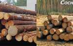 Из какой породы древесины лучше строить дом — ель или сосна