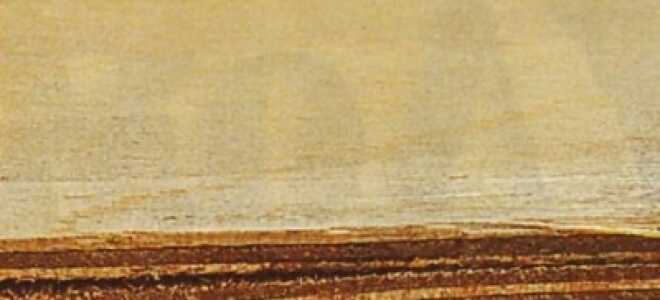 Как согнуть фанеру – пошаговая инструкция и видео