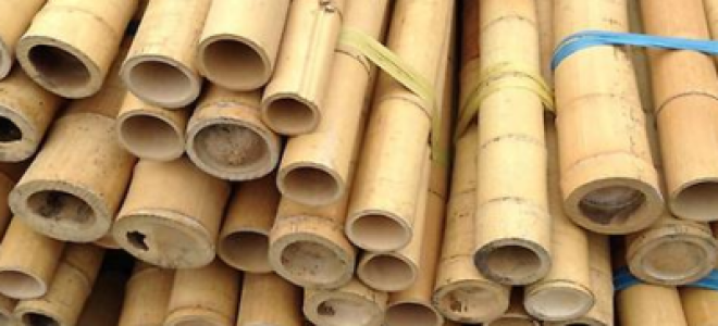 Что такое бамбуковая фанера и где ее можно купить