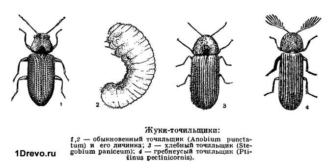 Определяем опасность
