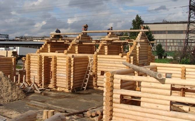 Строительство из карельской сосны